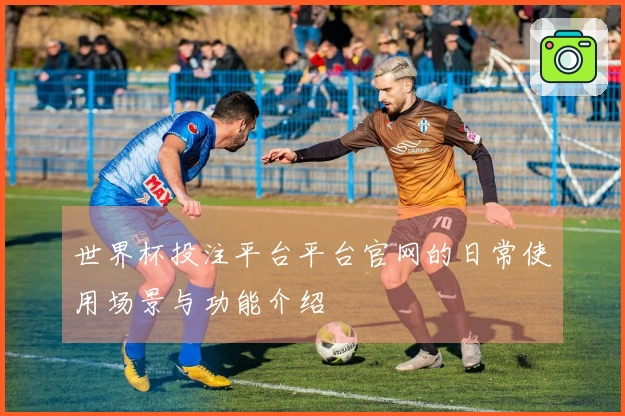 世界杯投注平台平台官网的日常使用场景与功能介绍