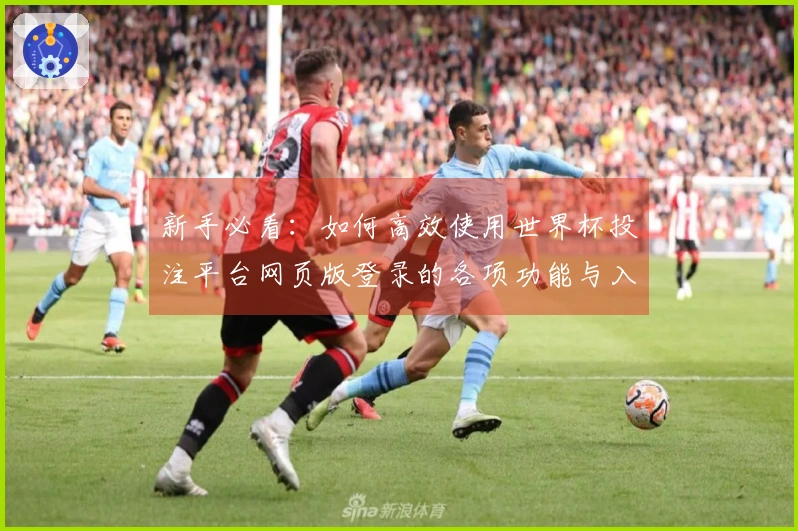 新手必看：如何高效使用世界杯投注平台网页版登录的各项功能与入口指南