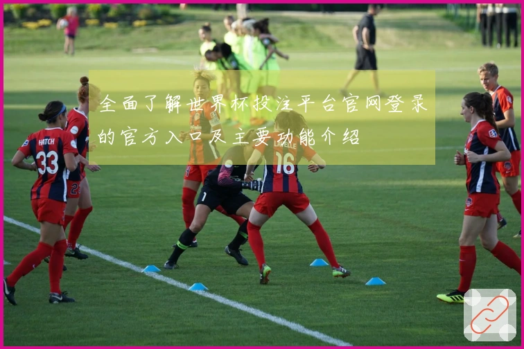 全面了解世界杯投注平台官网登录的官方入口及主要功能介绍