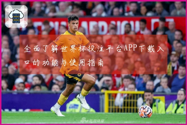 全面了解世界杯投注平台APP下载入口的功能与使用指南
