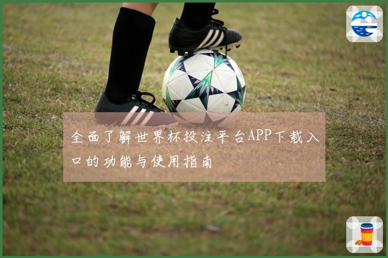 全面了解世界杯投注平台APP下载入口的功能与使用指南