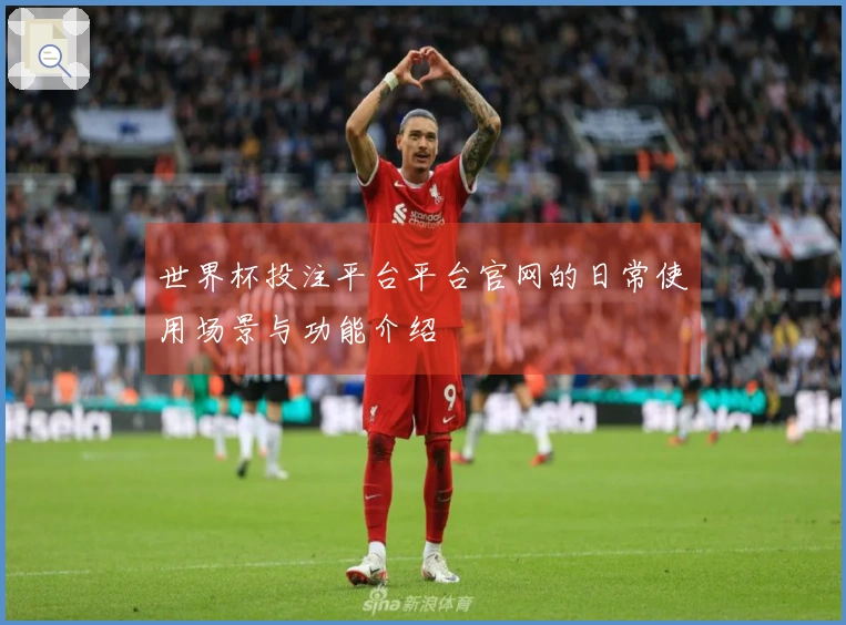 世界杯投注平台平台官网的日常使用场景与功能介绍