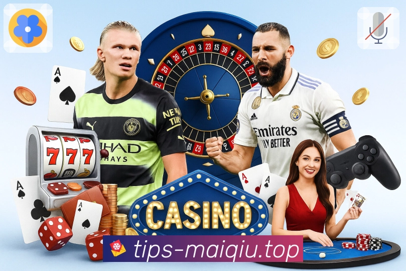 球队球员数据分析